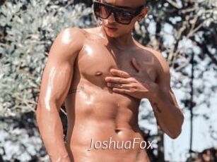 JoshuaFox