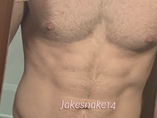 Jakesnake14
