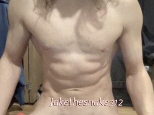 Jakethesnake312