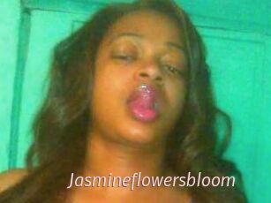 Jasmineflowersbloom