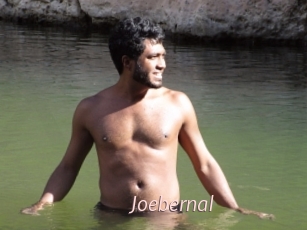 joebernal xxx Free Sites