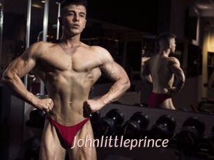 Johnlittleprince