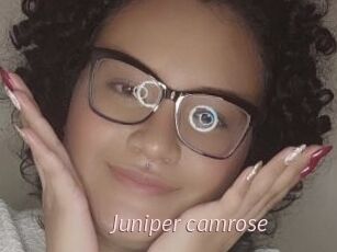 Juniper_camrose