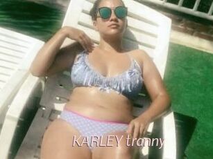 KARLEY_tranny