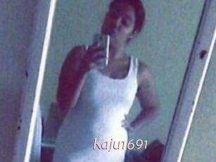 Kaju1691