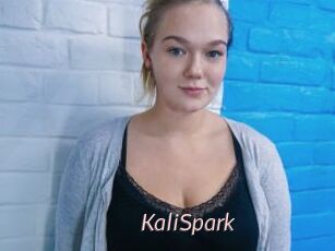 KaliSpark