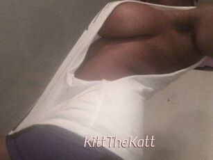 Kitt_The_Katt