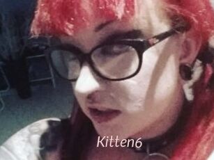 Kitten6