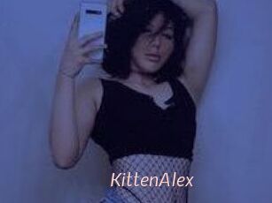KittenAlex