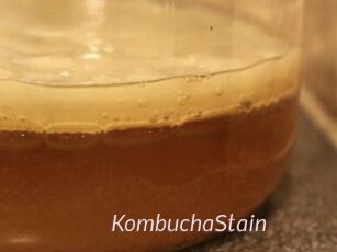 KombuchaStain