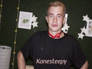 Kanesteepy