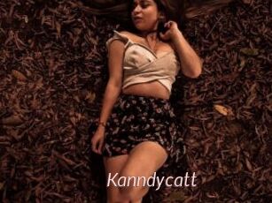 Kanndycatt