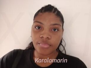 Karalamarin