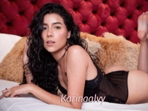 Karinaalvy