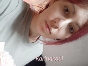 Karinakodi