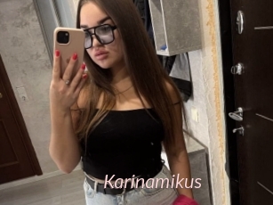 Karinamikus