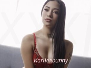 Karlieebunny