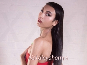 Kataleyahornys