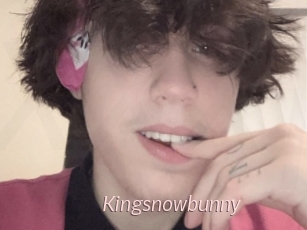 Kingsnowbunny