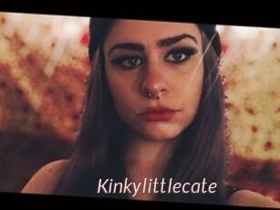 Kinkylittlecate