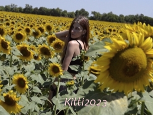 Kitti2023
