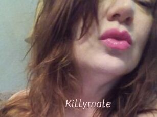 Kittymate