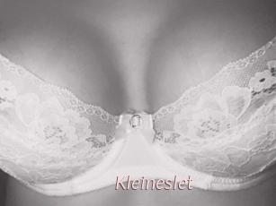 Kleineslet