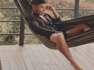 Koiboy