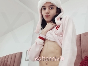 Koltonalvin