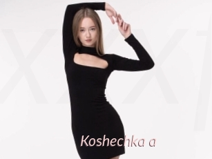 Koshechka_a