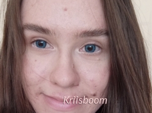 Kriisboom