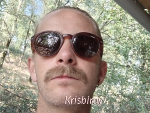 Krisbirdy