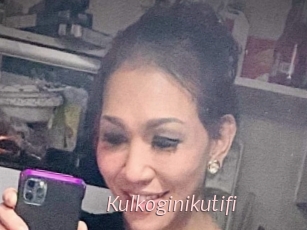 Kulkoginikutifi
