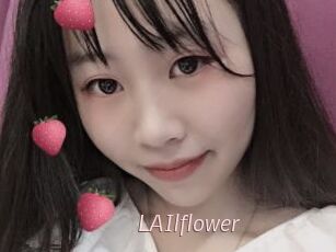 LAIlflower