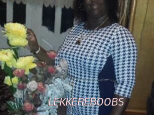 LEKKEREBOOBS xxx Free Sites