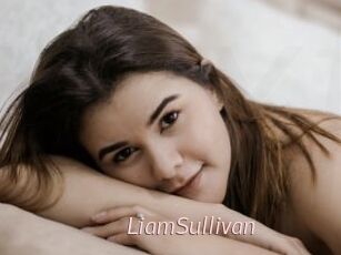 LiamSullivan xxx Free Sites