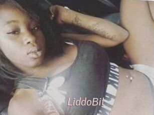 LiddoBit
