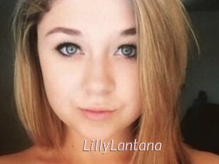 LillyLantana