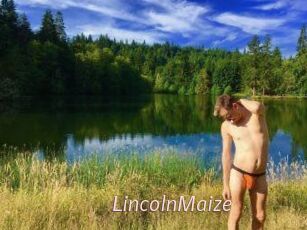 Lincoln_Maize