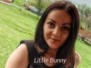 Little_Bunny_