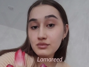 Lamareed