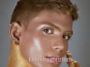 Leandrogonzlezh