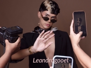 Leandrogooet