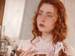 Leyamaller