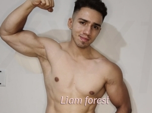 Liam_forest