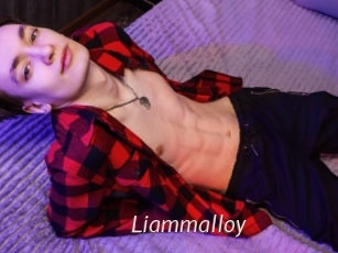 liammalloy xxx Free Sites