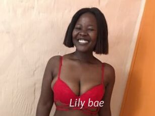 Lily_bae