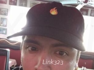 Link323