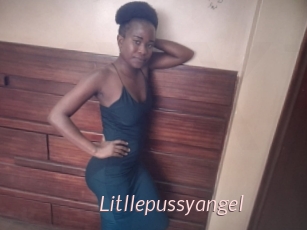 Litllepussyangel