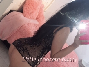 Little_innocent_bunny